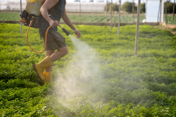 Best Exterminator Services  in Northfield, MN