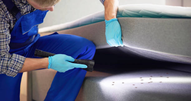 Best Local Pest Control Services  in Northfield, MN